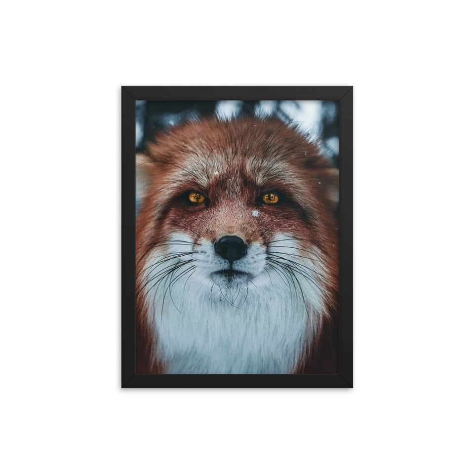 Foxy - Framed photo paper poster