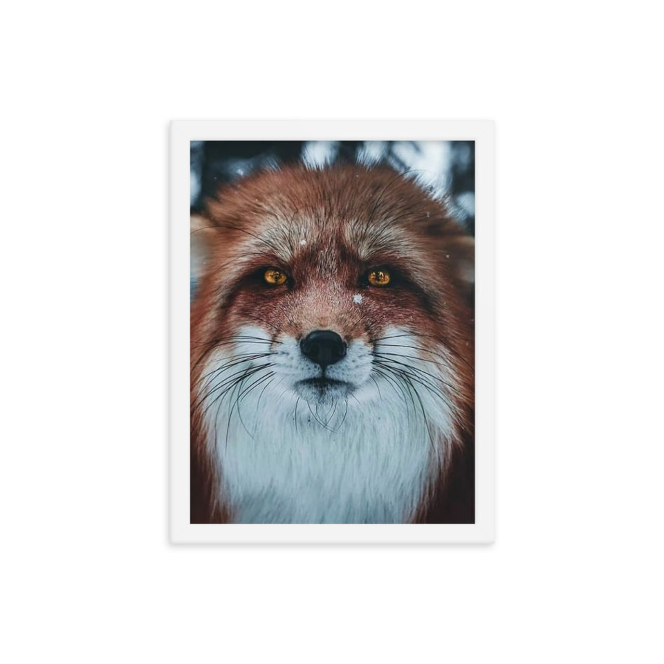 Foxy - Framed photo paper poster