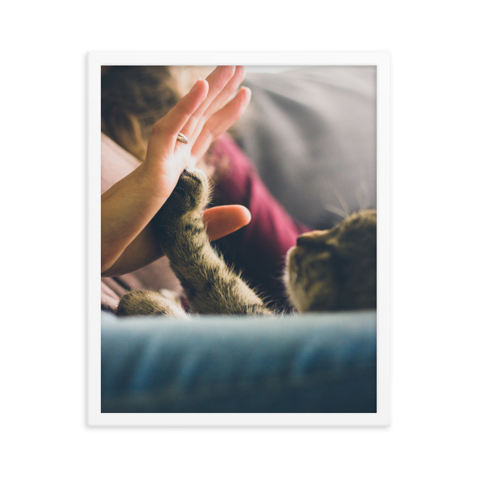 Courage - Framed photo paper poster with Pet Motif