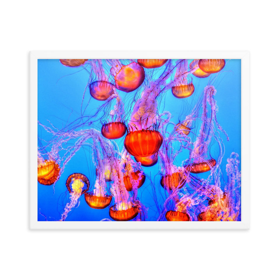 Floating Beauty - Framed photo paper poster